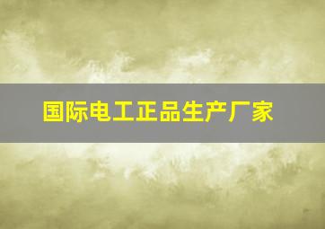 国际电工正品生产厂家