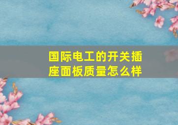 国际电工的开关插座面板质量怎么样