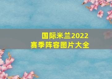 国际米兰2022赛季阵容图片大全