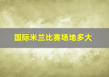 国际米兰比赛场地多大