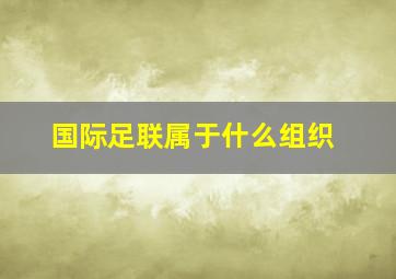 国际足联属于什么组织