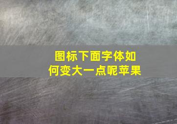 图标下面字体如何变大一点呢苹果