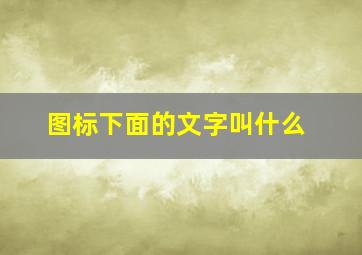 图标下面的文字叫什么