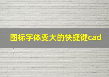 图标字体变大的快捷键cad