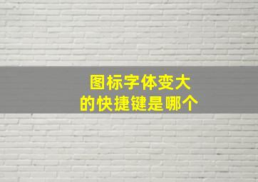 图标字体变大的快捷键是哪个