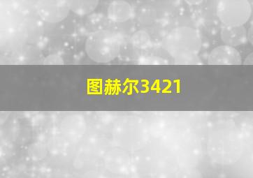 图赫尔3421