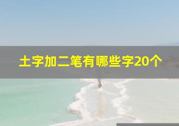 土字加二笔有哪些字20个