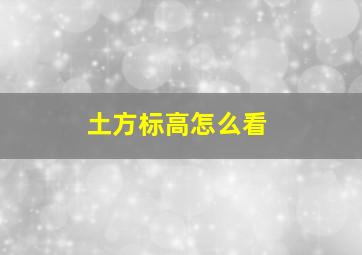 土方标高怎么看