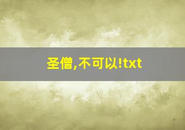 圣僧,不可以!txt