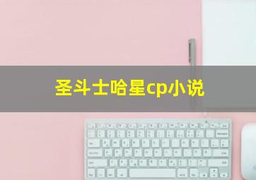 圣斗士哈星cp小说