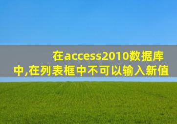 在access2010数据库中,在列表框中不可以输入新值