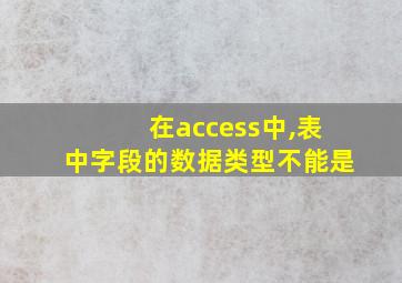 在access中,表中字段的数据类型不能是