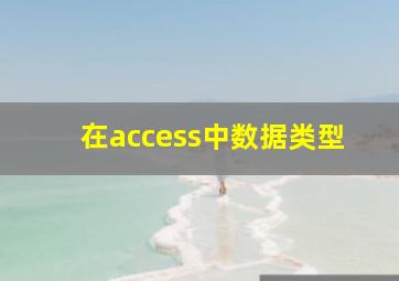 在access中数据类型