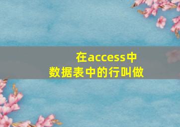 在access中数据表中的行叫做