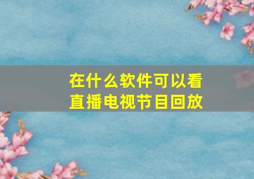 在什么软件可以看直播电视节目回放