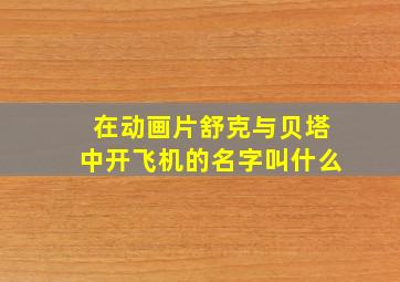 在动画片舒克与贝塔中开飞机的名字叫什么