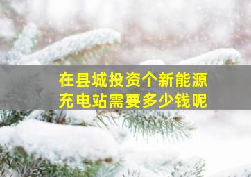 在县城投资个新能源充电站需要多少钱呢