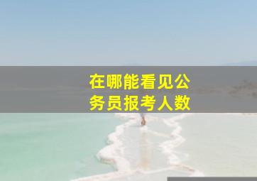 在哪能看见公务员报考人数