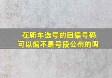 在新车选号的自编号码可以编不是号段公布的吗