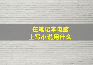 在笔记本电脑上写小说用什么