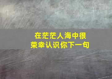 在茫茫人海中很荣幸认识你下一句