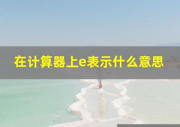 在计算器上e表示什么意思