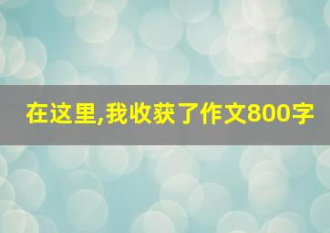 在这里,我收获了作文800字