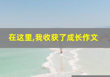 在这里,我收获了成长作文