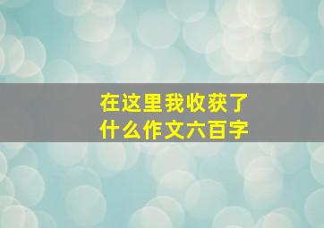 在这里我收获了什么作文六百字