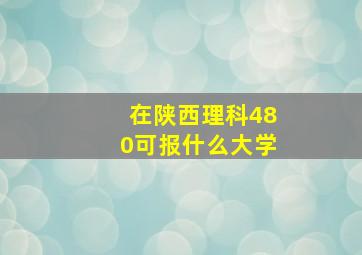 在陕西理科480可报什么大学