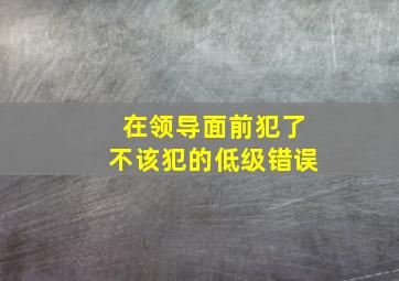 在领导面前犯了不该犯的低级错误