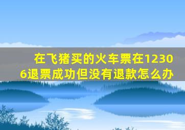 在飞猪买的火车票在12306退票成功但没有退款怎么办