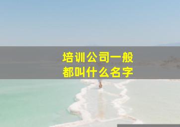 培训公司一般都叫什么名字