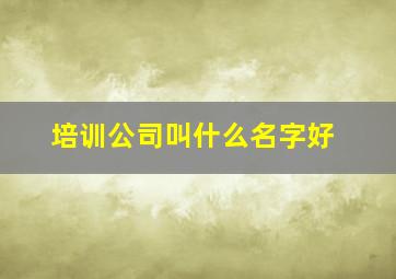 培训公司叫什么名字好