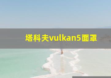 塔科夫vulkan5面罩