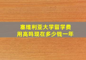 塞维利亚大学留学费用高吗现在多少钱一年