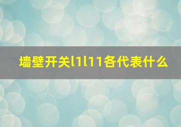 墙壁开关l1l11各代表什么