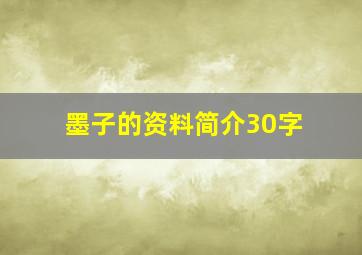 墨子的资料简介30字