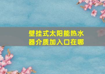 壁挂式太阳能热水器介质加入口在哪