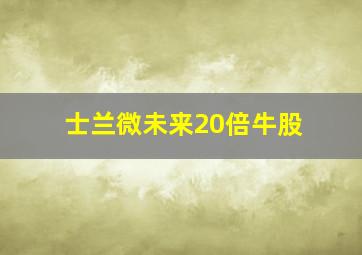 士兰微未来20倍牛股