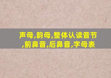 声母,韵母,整体认读音节,前鼻音,后鼻音,字母表