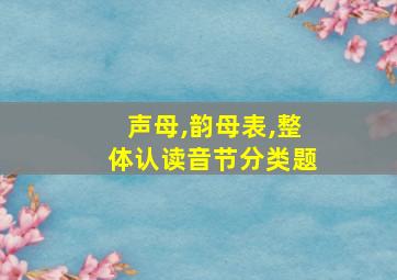 声母,韵母表,整体认读音节分类题