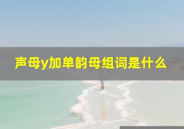 声母y加单韵母组词是什么