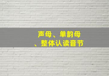 声母、单韵母、整体认读音节