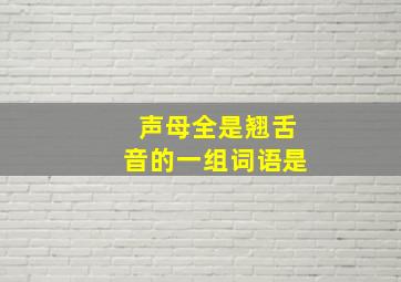 声母全是翘舌音的一组词语是