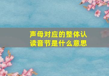 声母对应的整体认读音节是什么意思