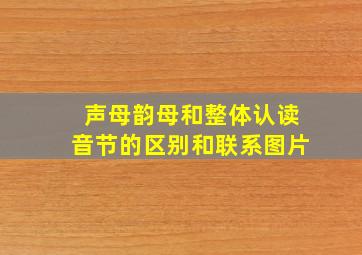 声母韵母和整体认读音节的区别和联系图片