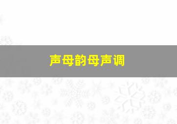 声母韵母声调