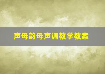 声母韵母声调教学教案