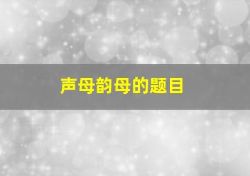 声母韵母的题目